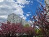 Märkische Allee 380, 12689 Berlin