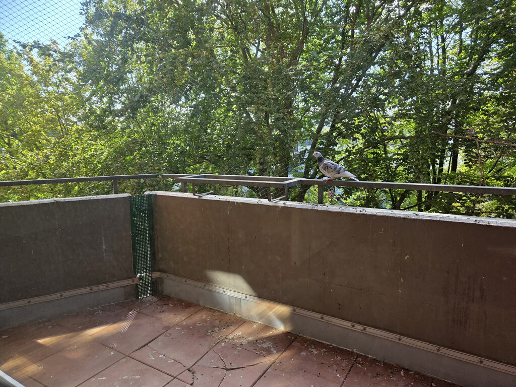 Ahornweg 16, 52080 Aachen