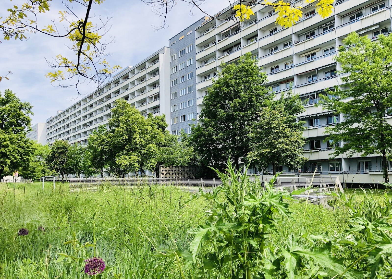 Zerbster Straße 29, 06124 Halle (Saale)