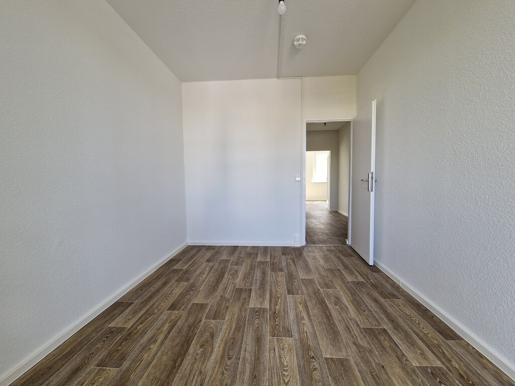 Richard-Paulick-Straße 9, 06124 Halle (Saale)