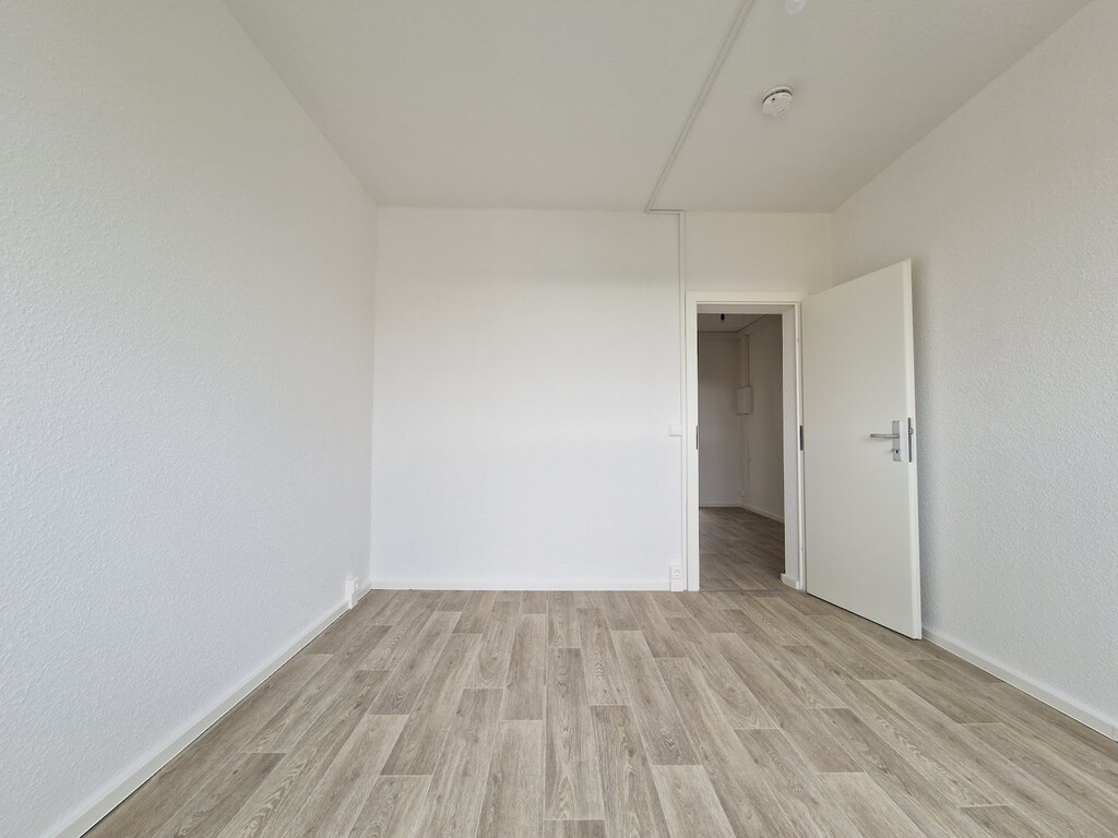 Carl-Schorlemmer-Ring 26, 06122 Halle (Saale)
