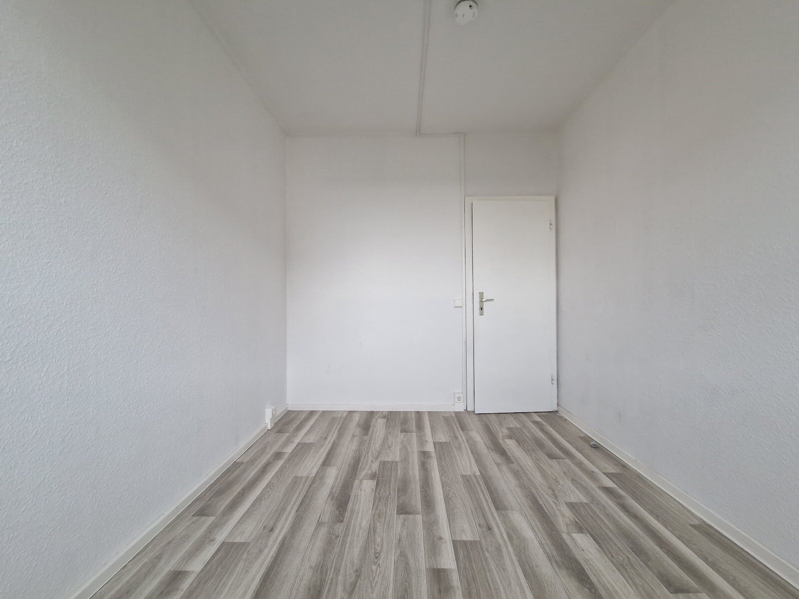 Carl-Schorlemmer-Ring 26, 06122 Halle (Saale)