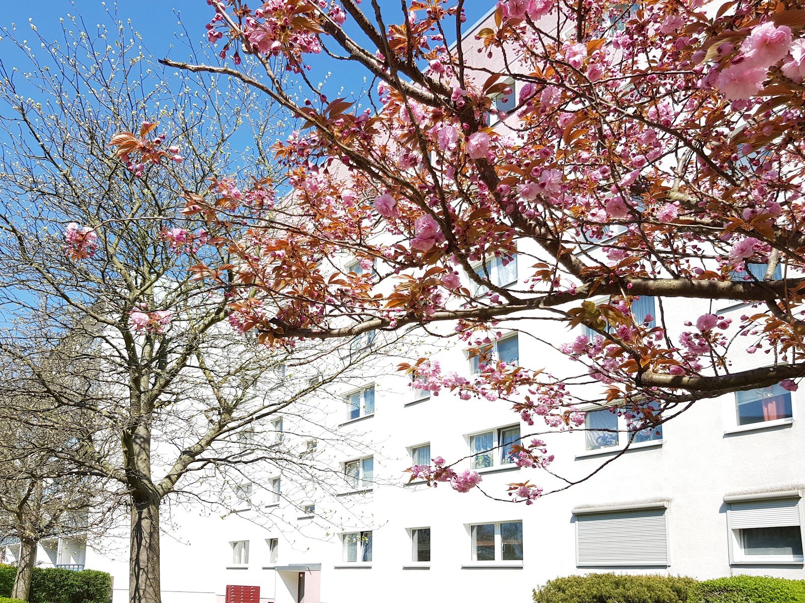 Jupiterstraße 15, 04205 Leipzig