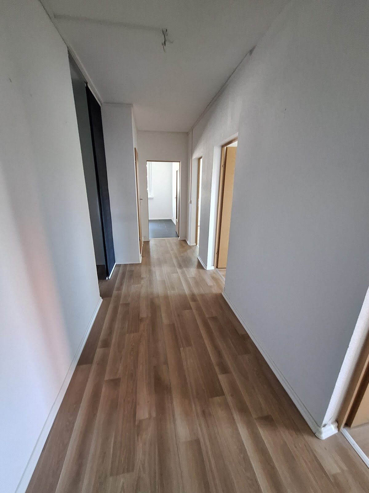 Kantstraße 26, 03050 Cottbus