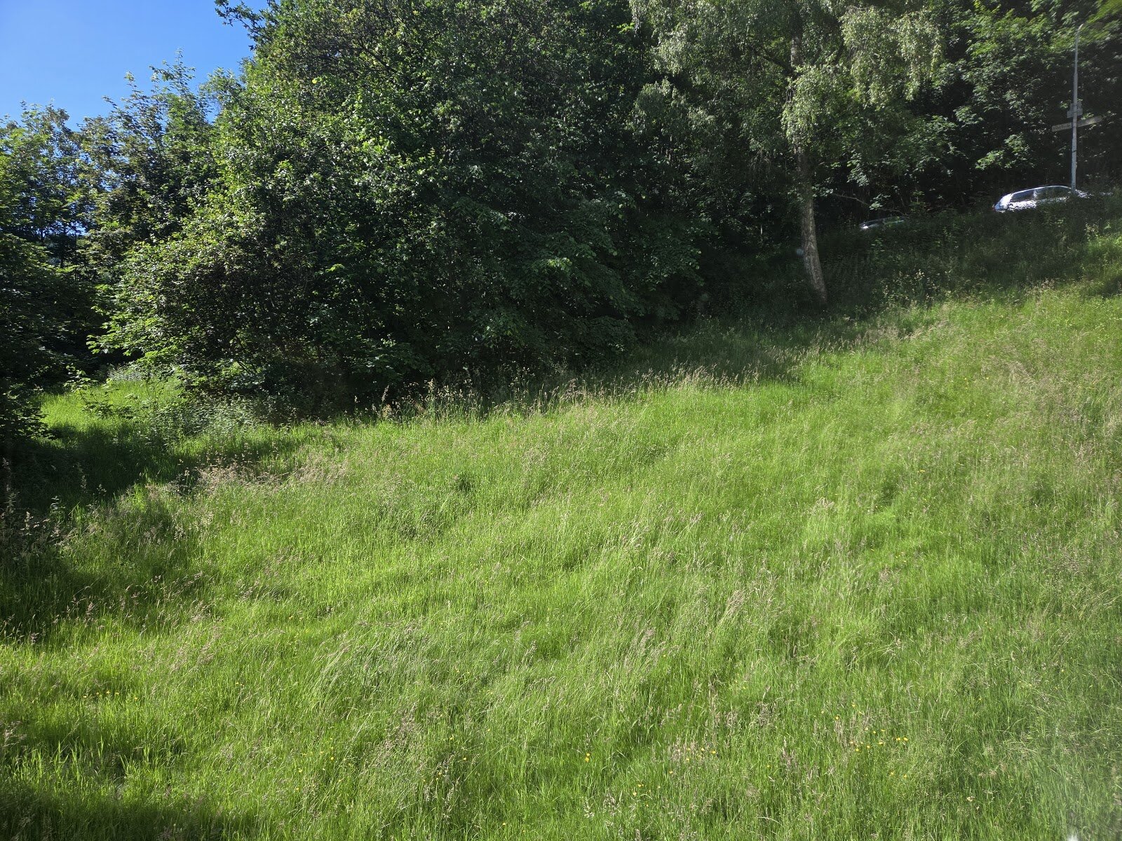 Erlhager Weg 9, 58791 Werdohl