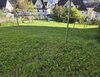 Bergstraße 12, 58791 Werdohl