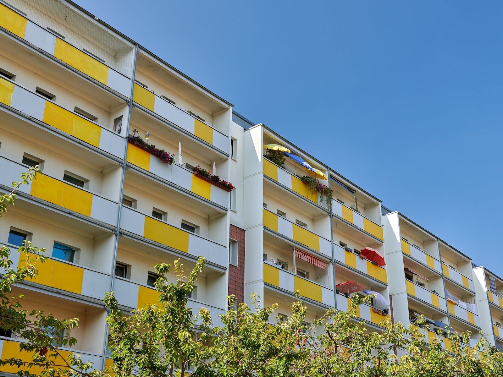 Herzogswalder Straße 8, 01169 Dresden