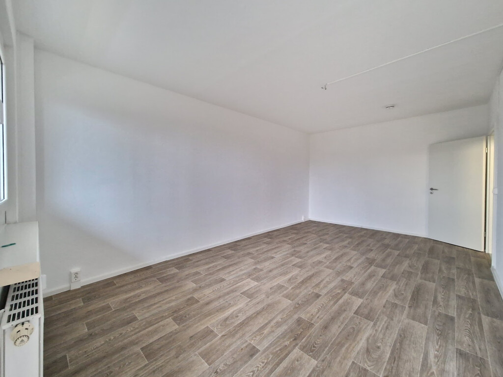 Harthaer Straße 38, 01169 Dresden