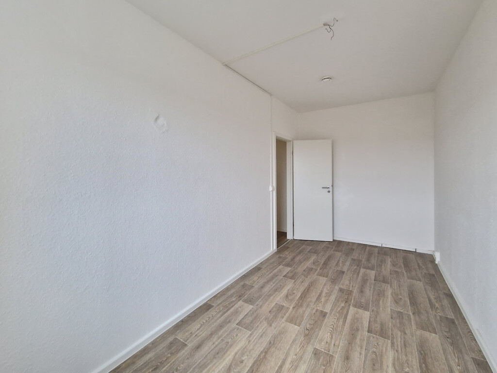 Harthaer Straße 38, 01169 Dresden