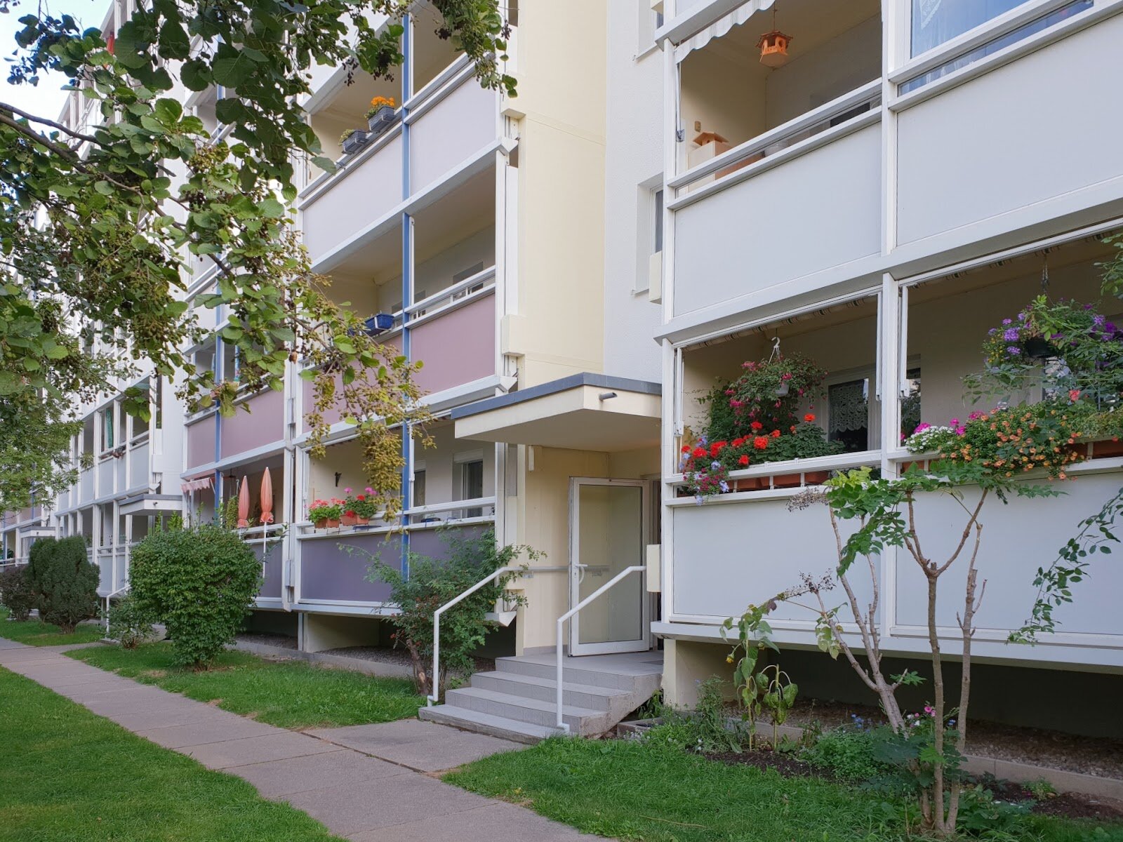 Robinienstraße 22, 01169 Dresden