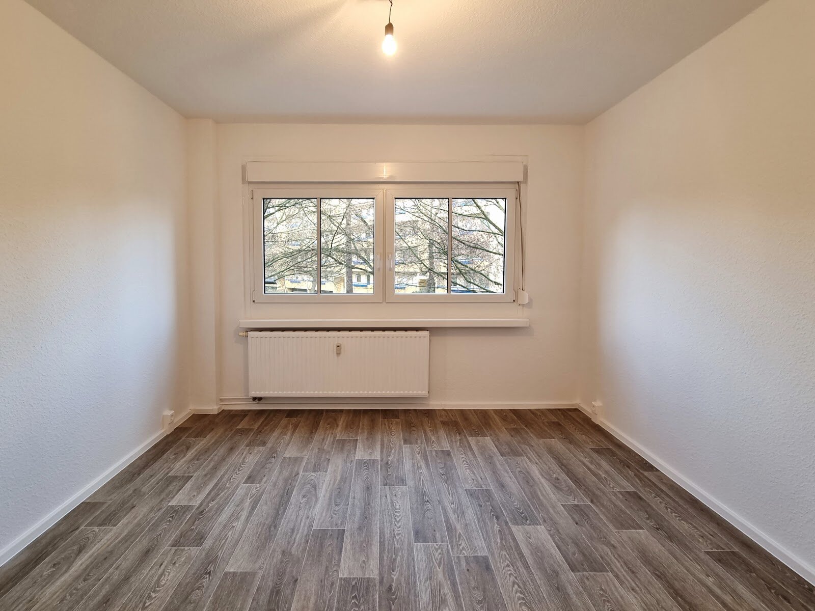 Robinienstraße 24, 01169 Dresden