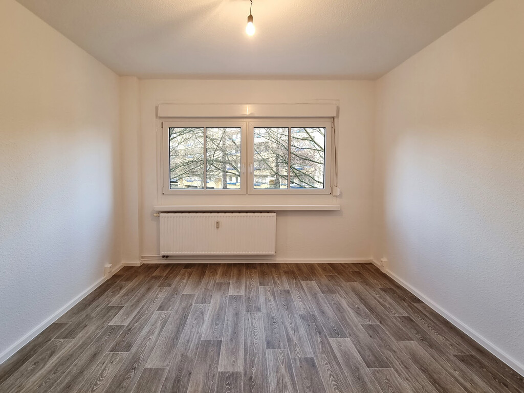 Robinienstraße 24, 01169 Dresden