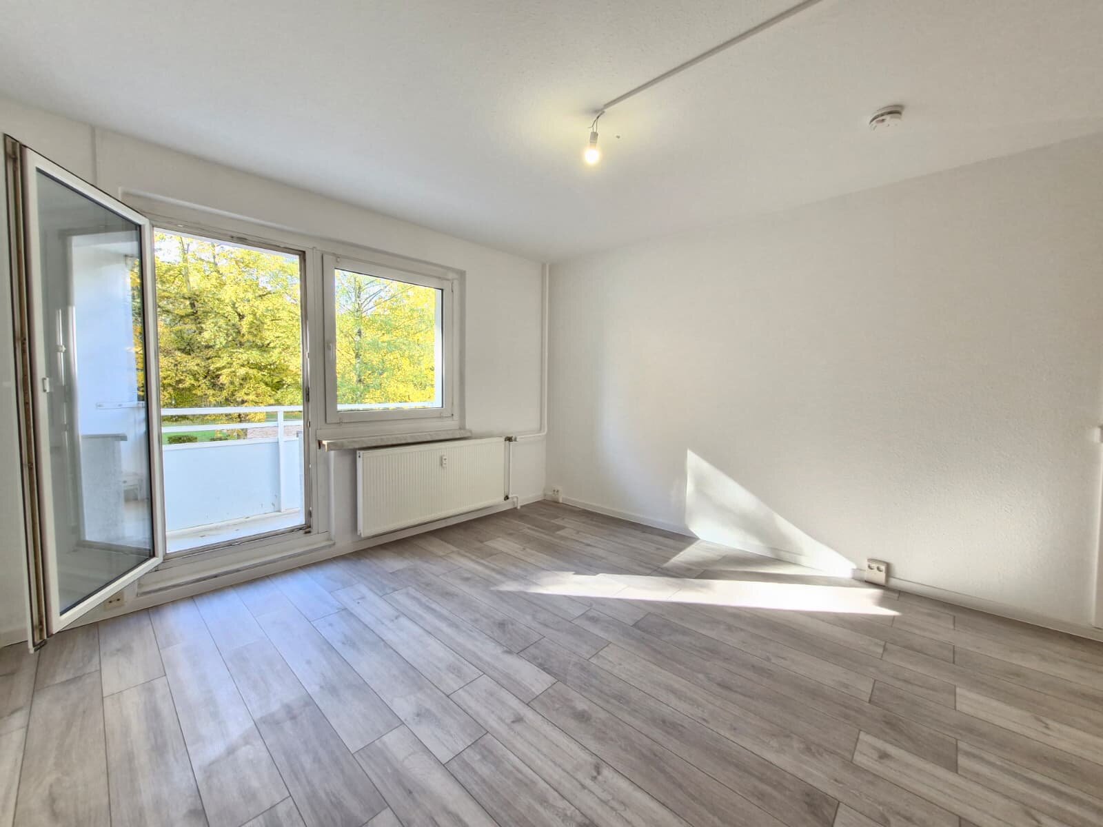 Albert-Köhler-Straße 16, 09122 Chemnitz