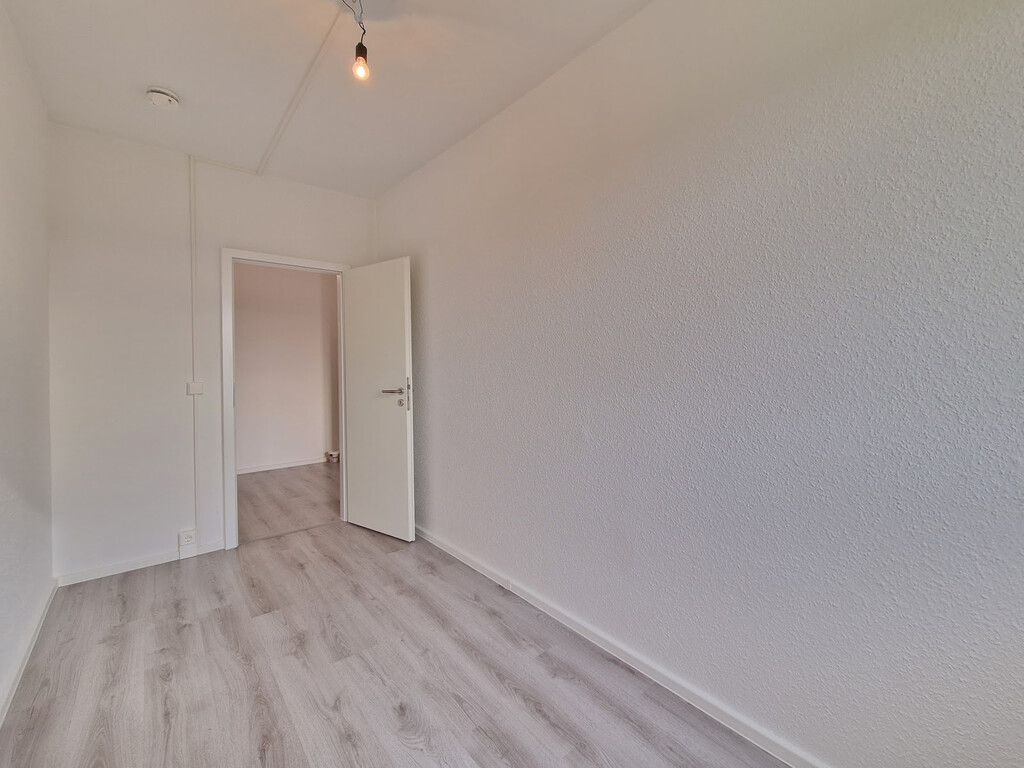 Albert-Köhler-Straße 81, 09122 Chemnitz