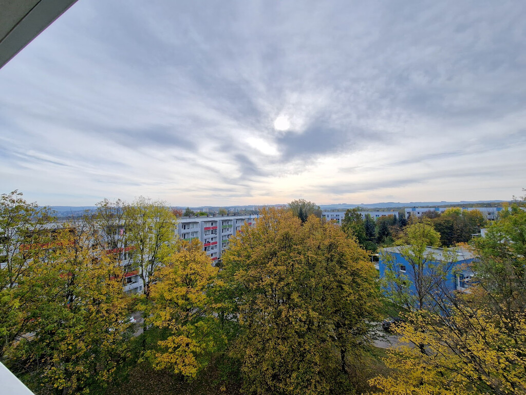 Albert-Köhler-Straße 81, 09122 Chemnitz